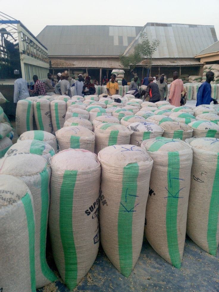 Exporters and agro processors